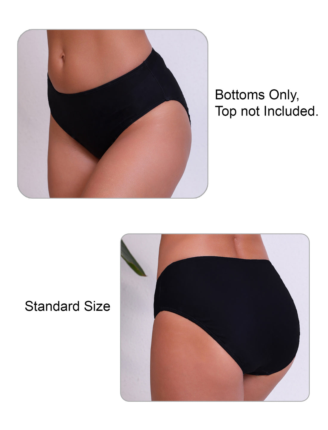 Tropic Whisper Mid Waisted Bikini Swim Bottms