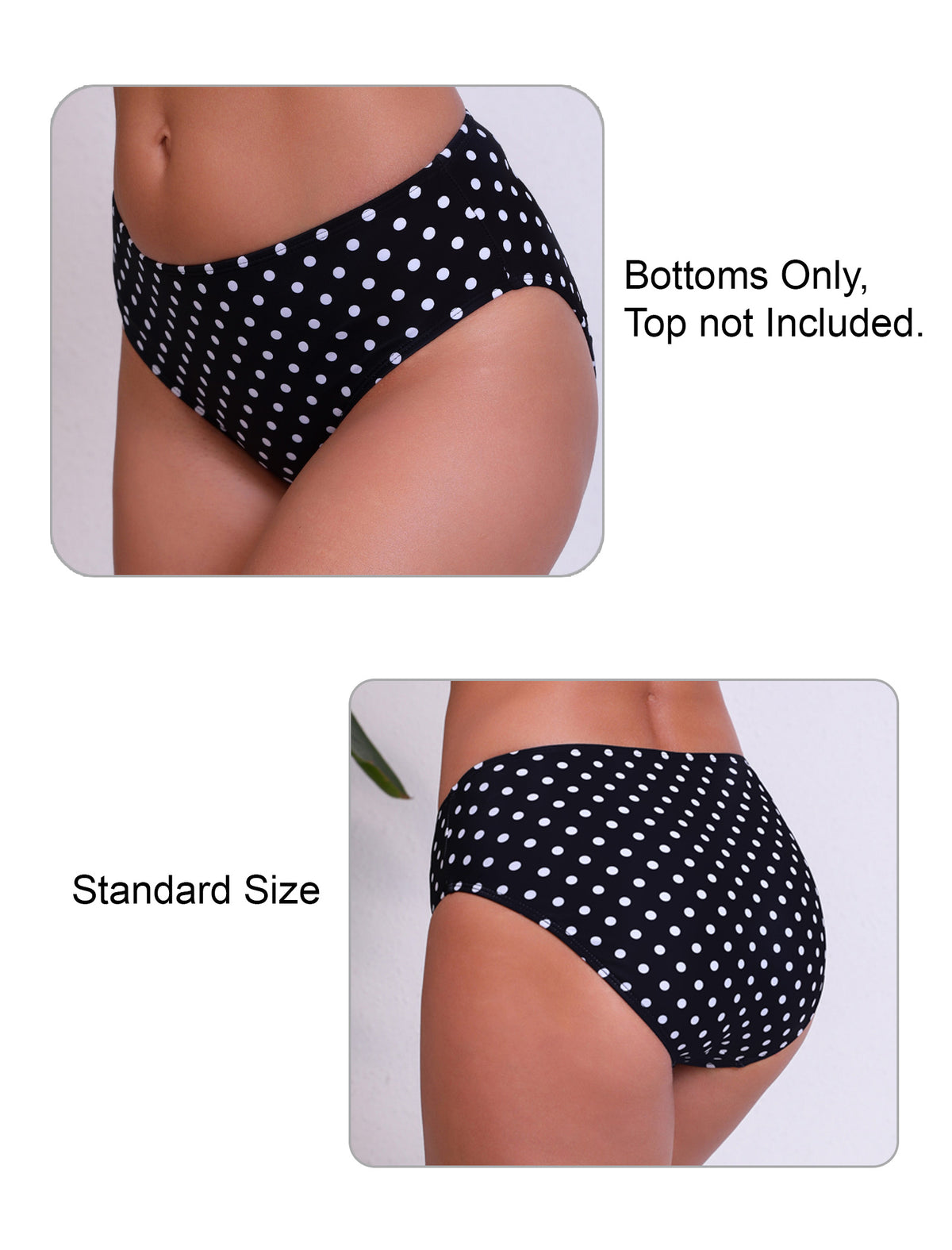 Tropic Whisper Mid Waisted Bikini Swim Bottms